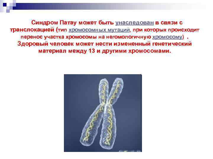  Синдром Патау может быть унаследован в связи с транслокацией (тип хромосомных мутаций, при