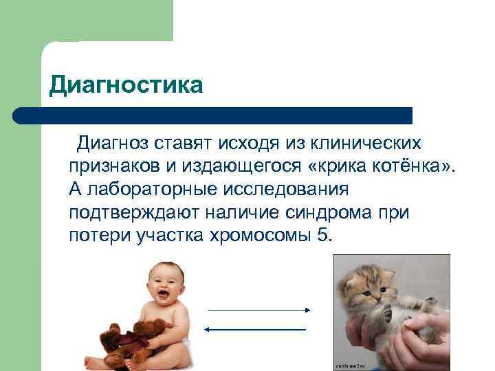 Диагностика Диагноз ставят исходя из клинических признаков и издающегося «крика котёнка» . А лабораторные
