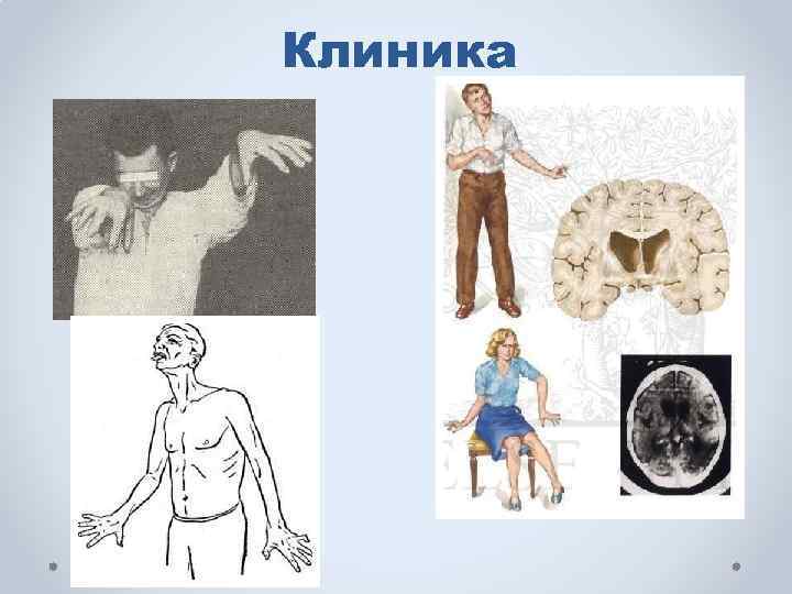 Клиника 