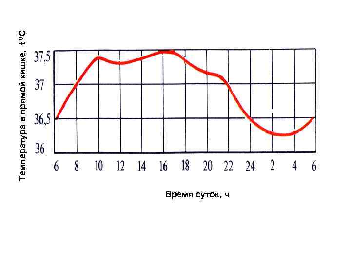 Время суток, ч Температура в прямой кишке, t 0 C 