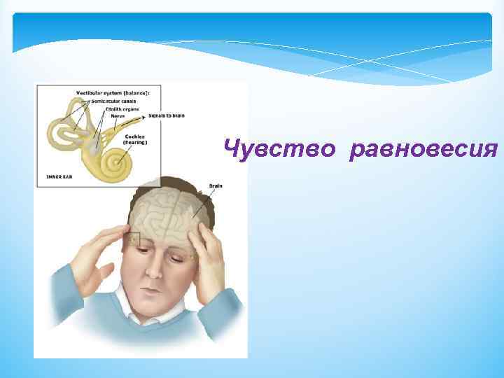 Чувство равновесия 