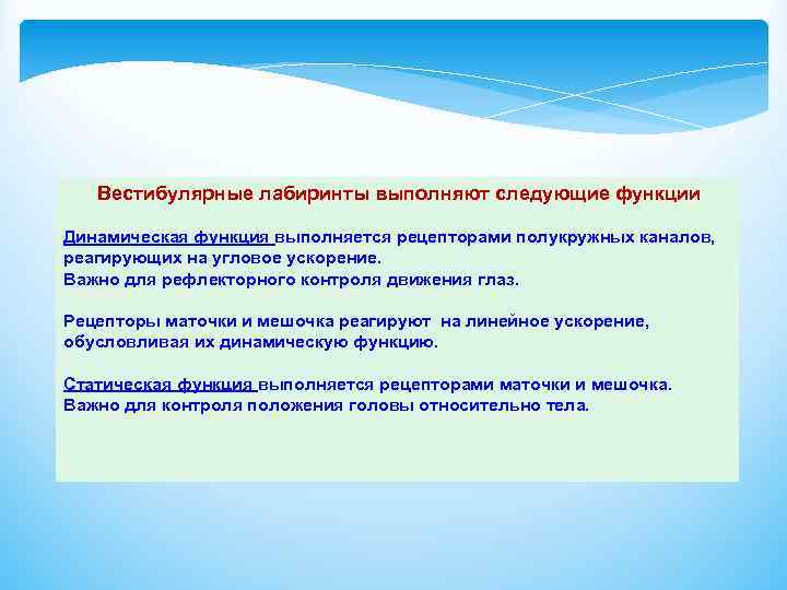 Вестибулярные лабиринты выполняют следующие функции Динамическая функция выполняется рецепторами полукружных каналов, реагирующих на угловое