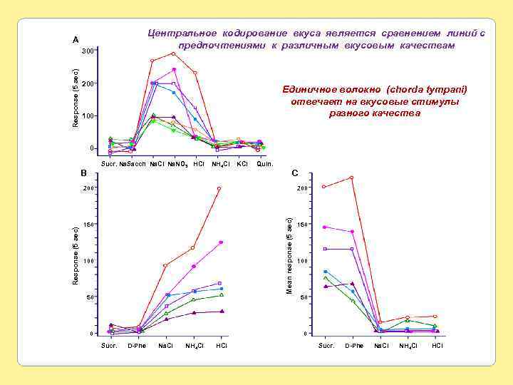 Центральное кодирование вкуса является сравнением линий с предпочтениями к различным вкусовым качествам A Response