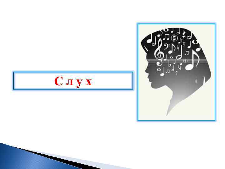 Слух 