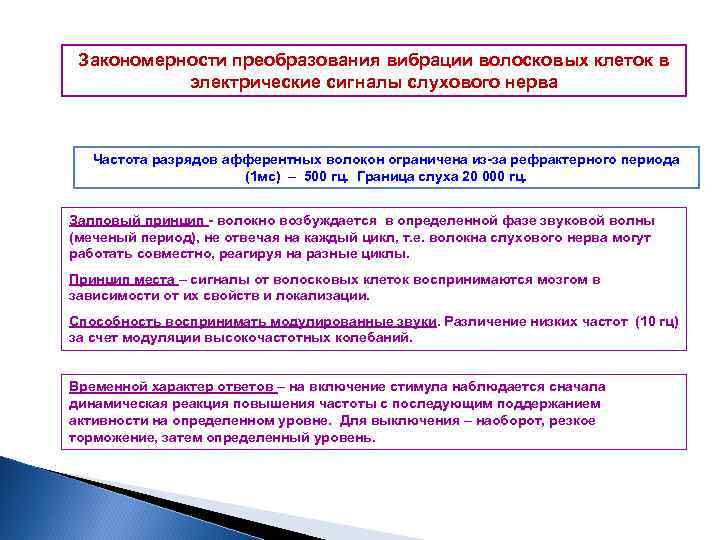 Закономерности преобразования вибрации волосковых клеток в электрические сигналы слухового нерва Частота разрядов афферентных волокон