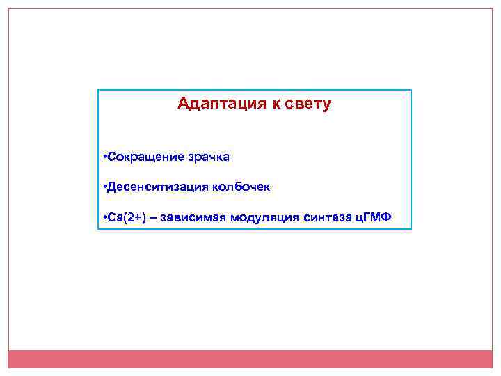 Адаптация к свету • Сокращение зрачка • Десенситизация колбочек • Са(2+) – зависимая модуляция