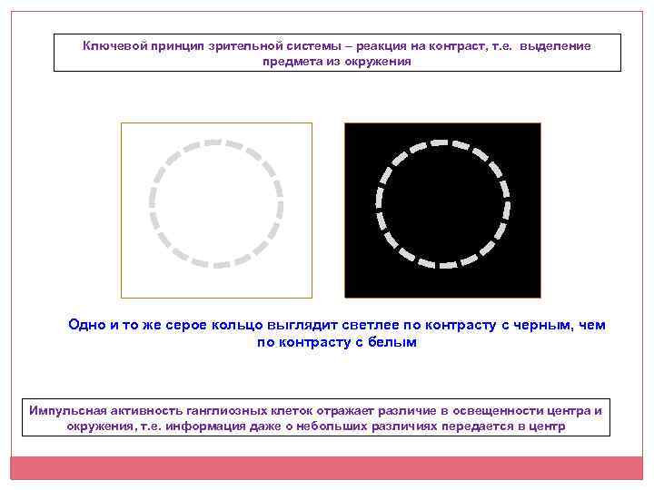 Точка зрения восприятия. Принцип контрастного восприятия. Зрительный контраст. Принцип действия контраста. Принцип восприятия света.