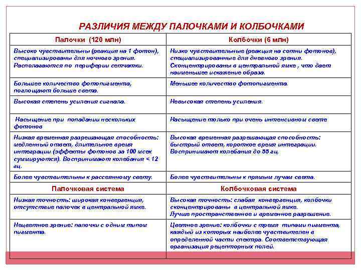 РАЗЛИЧИЯ МЕЖДУ ПАЛОЧКАМИ И КОЛБОЧКАМИ Палочки (120 млн) Колбочки (6 млн) Высоко чувствительны (реакция