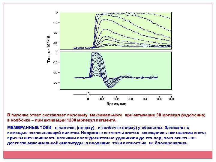 Ток, х · 10 -12 А Время, сек В палочке ответ составляет половину максимального