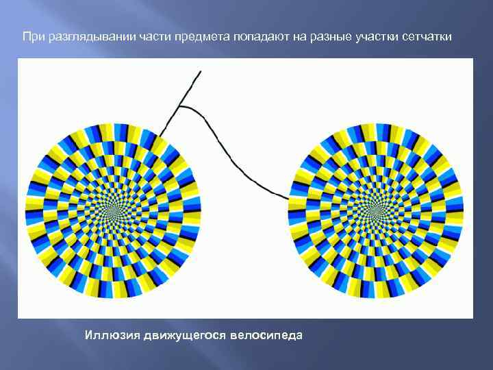 При разглядывании части предмета попадают на разные участки сетчатки Иллюзия движущегося велосипеда 