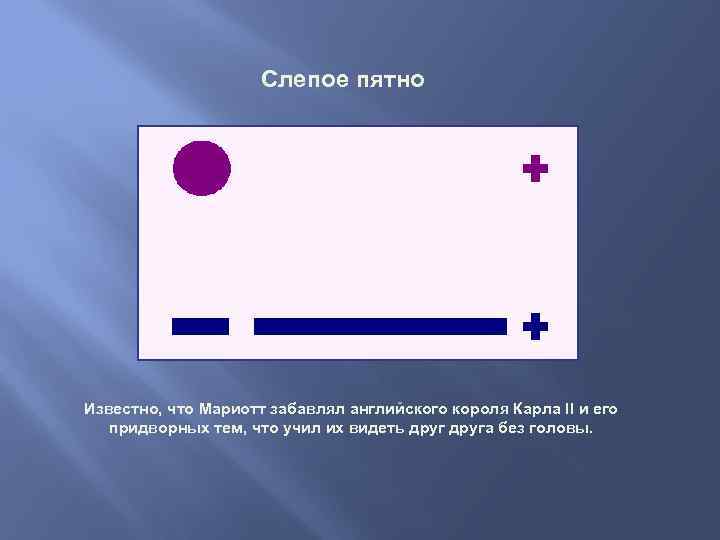 Слепое пятно Известно, что Мариотт забавлял английского короля Карла II и его придворных тем,