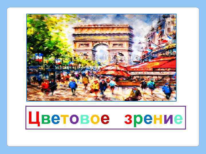 Цветовое зрение 