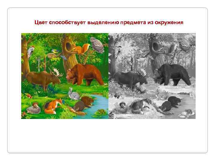 Цвет способствует выделению предмета из окружения 