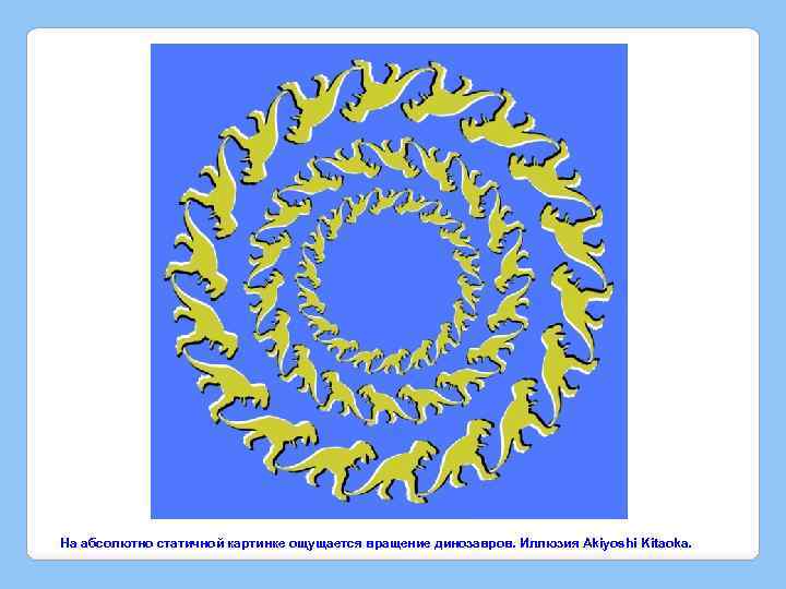 На абсолютно статичной картинке ощущается вращение динозавров. Иллюзия Akiyoshi Kitaoka. 
