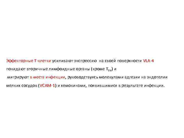 Эффекторные Т-клетки усиливают экспрессию на своей поверхности VLA-4 покидают вторичные лимфоидные органы (кроме TFH)