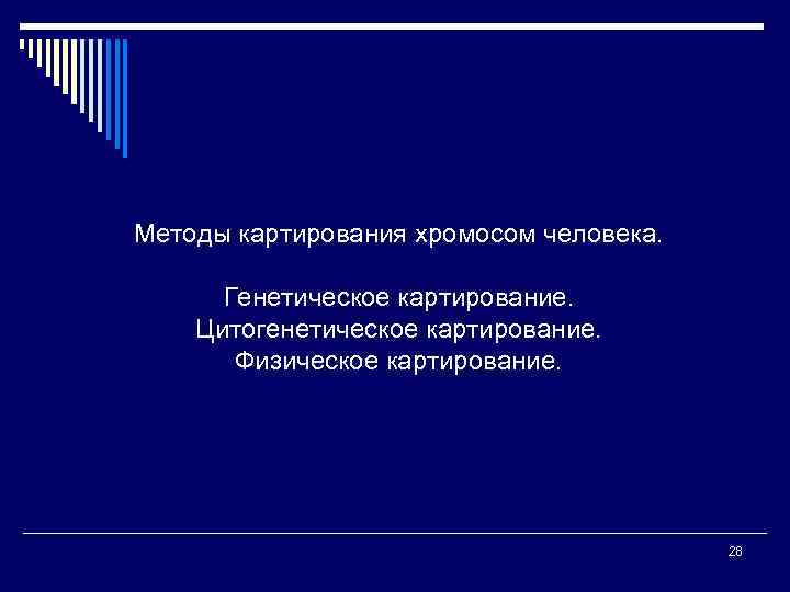 Методы картирования хромосом человека. Генетическое картирование. Цитогенетическое картирование. Физическое картирование. 28 