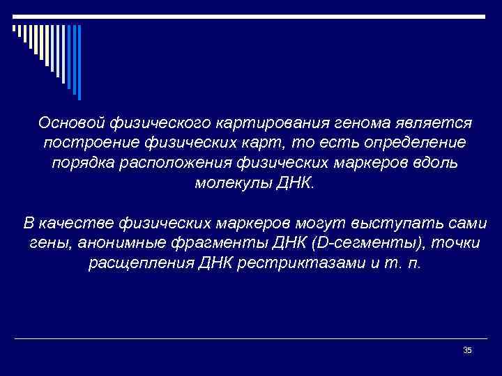 Основой физического картирования генома является построение физических карт, то есть определение порядка расположения физических