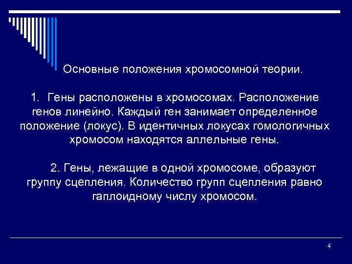 Основные положения хромосомной теории. 1. Гены расположены в хромосомах. Расположение генов линейно. Каждый ген