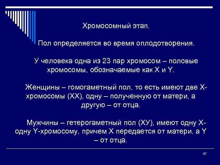 Хромосомный этап. Пол определяется во время оплодотворения. У человека одна из 23 пар хромосом