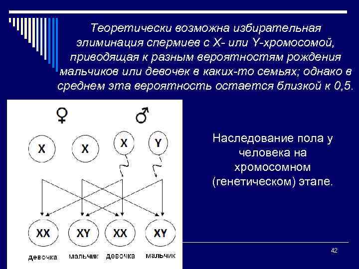 Теоретически возможна избирательная элиминация спермиев с X- или Y-хромосомой, приводящая к разным вероятностям рождения