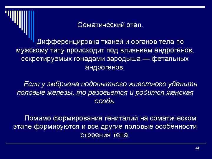 Соматический этап. Дифференцировка тканей и органов тела по мужскому типу происходит под влиянием андрогенов,