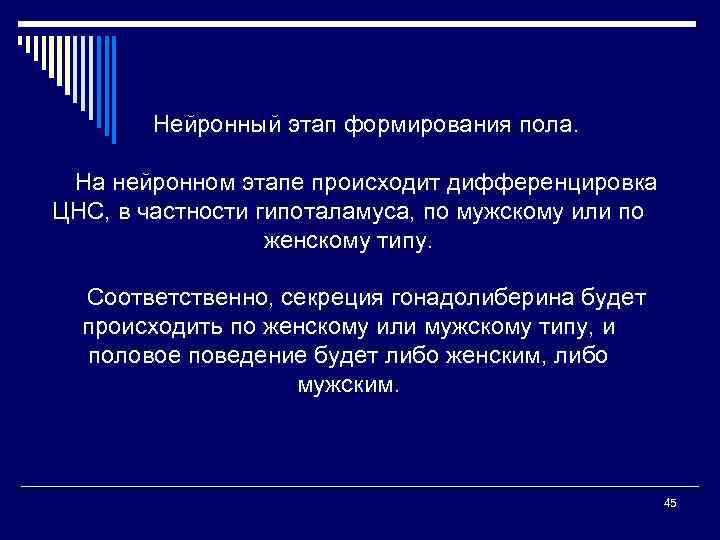 Нейронный этап формирования пола. На нейронном этапе происходит дифференцировка ЦНС, в частности гипоталамуса, по