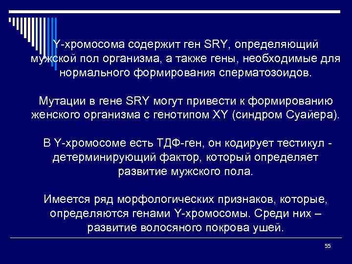 Y-хромосома содержит ген SRY, определяющий мужской пол организма, а также гены, необходимые для нормального