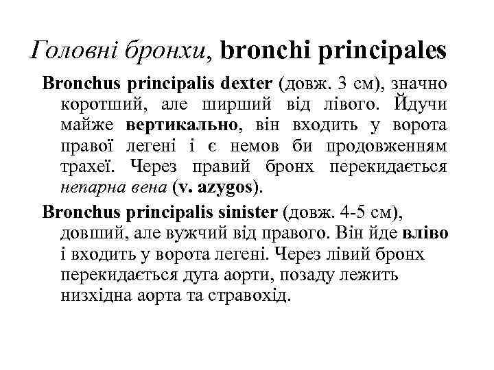 Головнi бронхи, bronchi principales Bronchus principalis dexter (довж. 3 см), значно коротший, але ширший