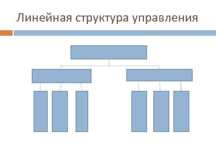 Линейная структура управления 