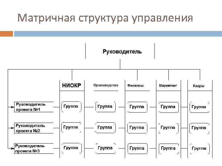 Матричная организационная структура проекта