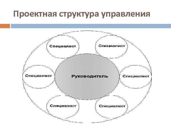 Проектная структура управления 