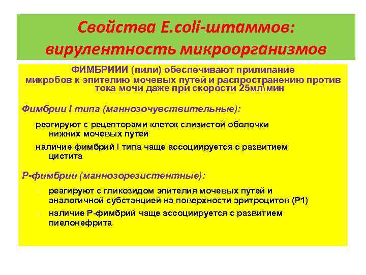 Свойства E. coli-штаммов: вирулентность микроорганизмов ФИМБРИИИ (пили) обеспечивают прилипание микробов к эпителию мочевых путей