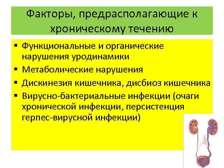 Факторы, предрасполагающие к хроническому течению § Функциональные и органические нарушения уродинамики § Метаболические нарушения