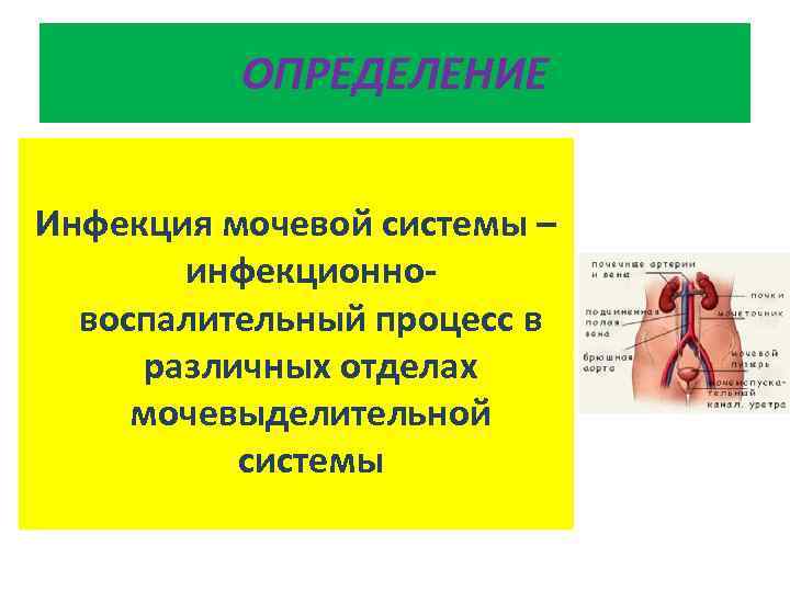 ОПРЕДЕЛЕНИЕ Инфекция мочевой системы – инфекционновоспалительный процесс в различных отделах мочевыделительной системы 