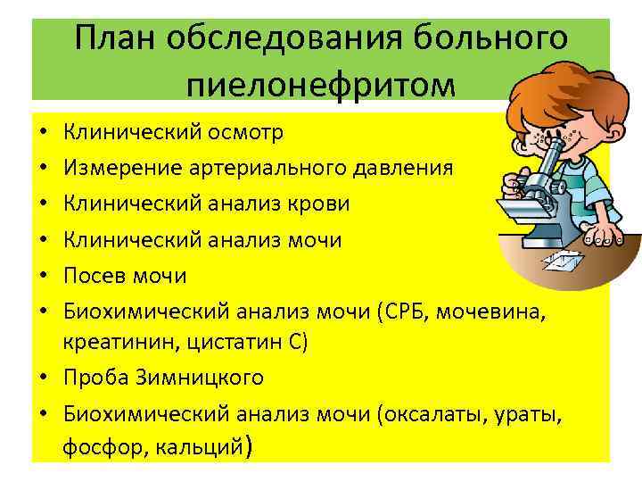 Плановое обследование. План обследования больного с пиелонефритом. Острый пиелонефрит план обследования. План обследования при остром пиелонефрите. План обследования при хроническом пиелонефрите.