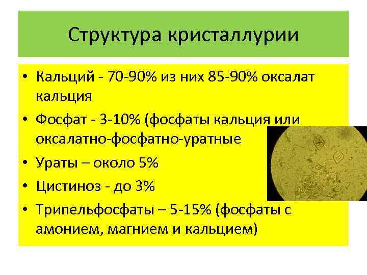 Структура кристаллурии • Кальций - 70 -90% из них 85 -90% оксалат кальция •