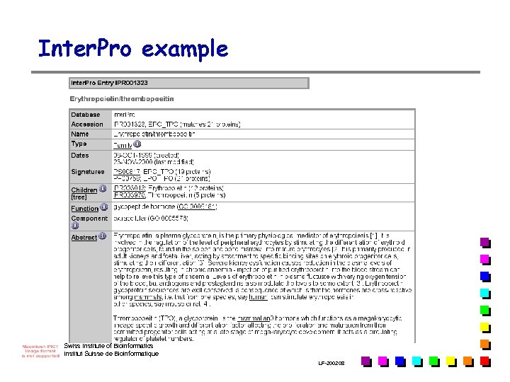 Inter. Pro example Swiss Institute of Bioinformatics Institut Suisse de Bioinformatique LF-2002. 08 