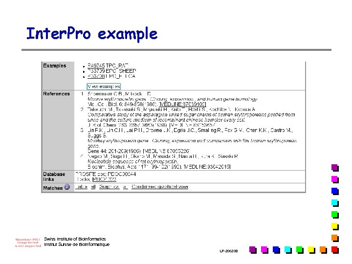 Inter. Pro example Swiss Institute of Bioinformatics Institut Suisse de Bioinformatique LF-2002. 08 