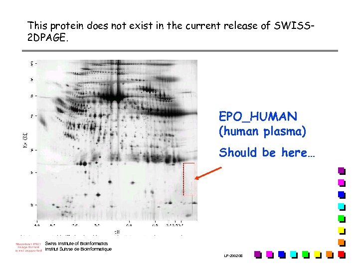 This protein does not exist in the current release of SWISS 2 DPAGE. EPO_HUMAN