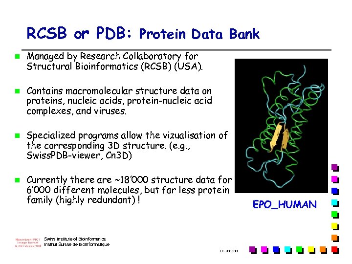 RCSB or PDB: Protein Data Bank n n Managed by Research Collaboratory for Structural