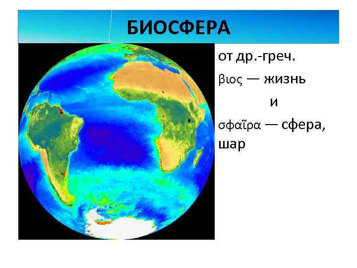 БИОСФЕРА от др. греч. βιος — жизнь и σφαῖρα — сфера, шар 