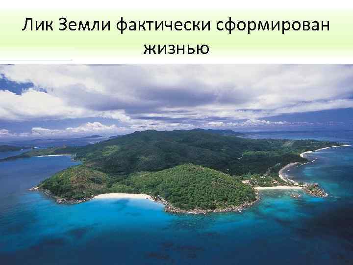 Лик Земли фактически сформирован жизнью 