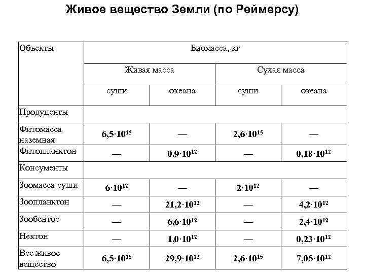 Живое вещество Земли (по Реймерсу) Объекты Биомасса, кг Живая масса суши Сухая масса океана