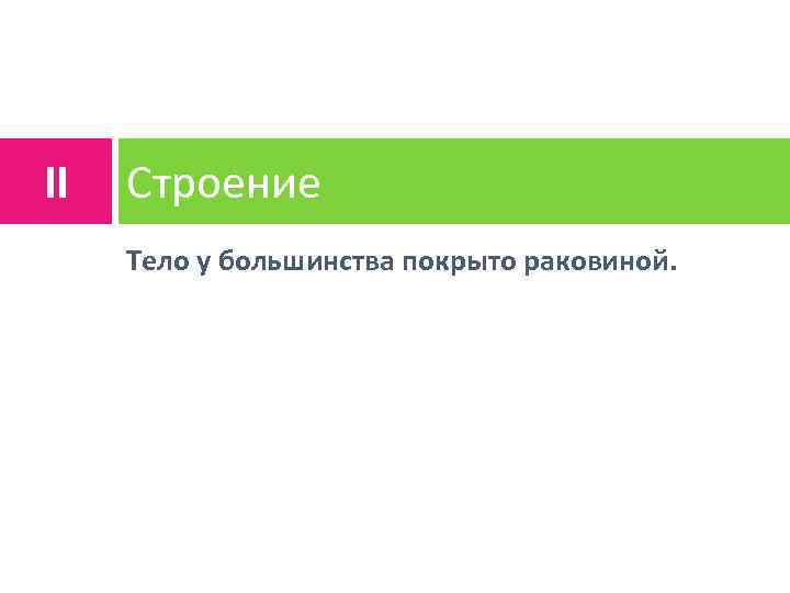 II Строение Тело у большинства покрыто раковиной. 