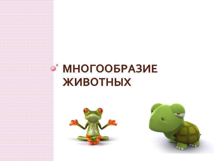 МНОГООБРАЗИЕ ЖИВОТНЫХ 
