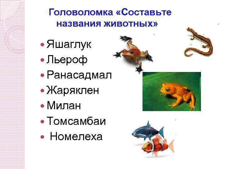 Головоломка «Составьте названия животных» Яшаглук Льероф Ранасадмал Жаряклен Милан Томсамбаи Номелеха 