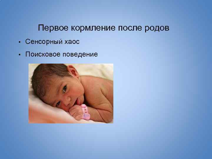 Первое кормление после родов • Сенсорный хаос • Поисковое поведение 