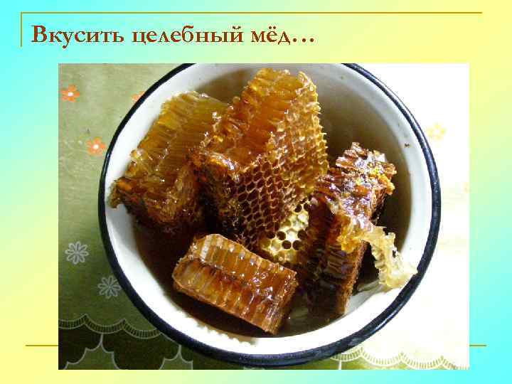 Вкусить целебный мёд… 