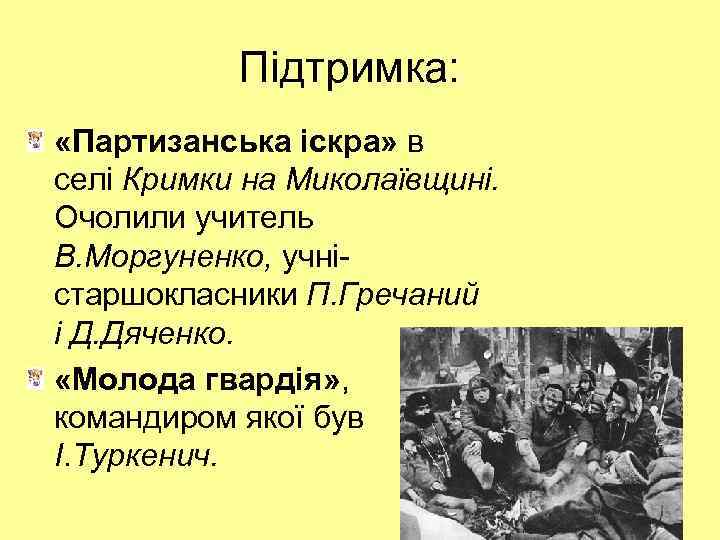 Підтримка: «Партизанська іскра» в селі Кримки на Миколаївщині. Очолили учитель В. Моргуненко, учністаршокласники П.