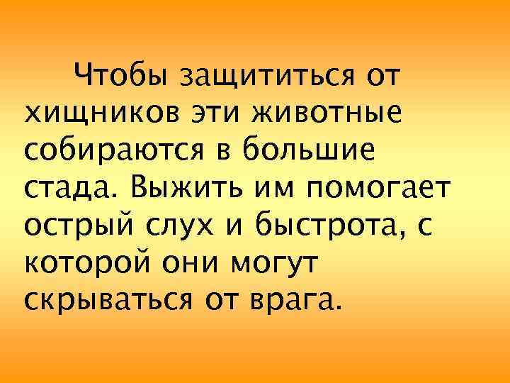 Чтобы защититься от хищников эти животные собираются в большие стада. Выжить им помогает острый